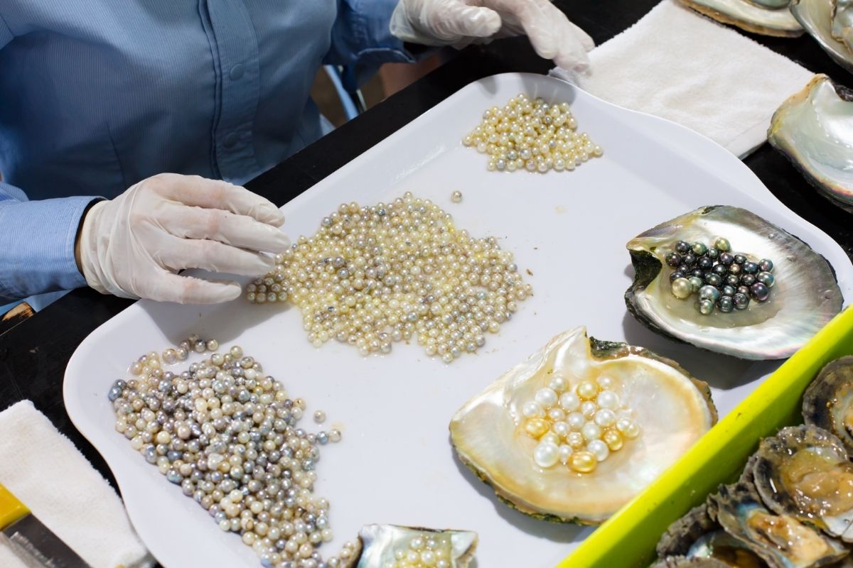 Pearl Jewelry Workshop