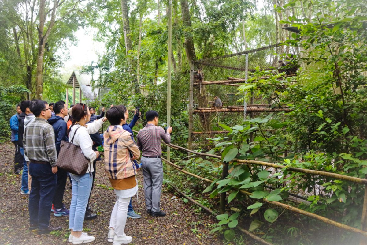 Discover Cuc Phuong National Park with Ninh Binh itinerary