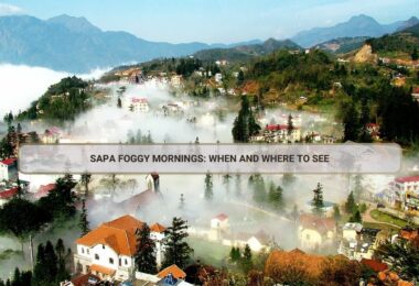 Sapa foggy