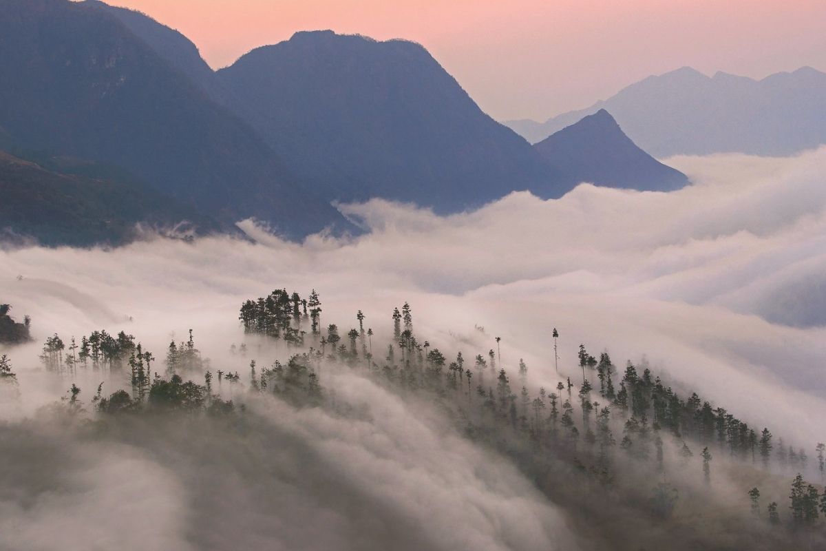 Muong Hoa Valley – Terraced Fields in the Mist
