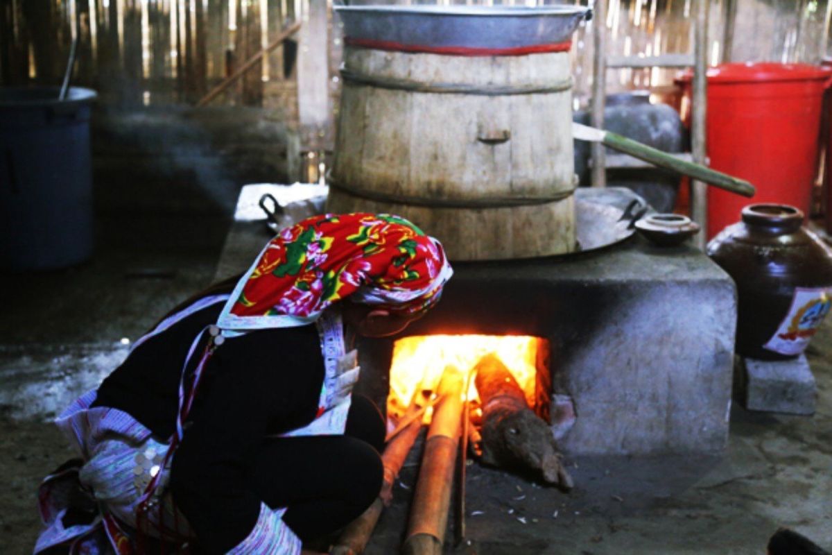 Paddy Rice Wine
