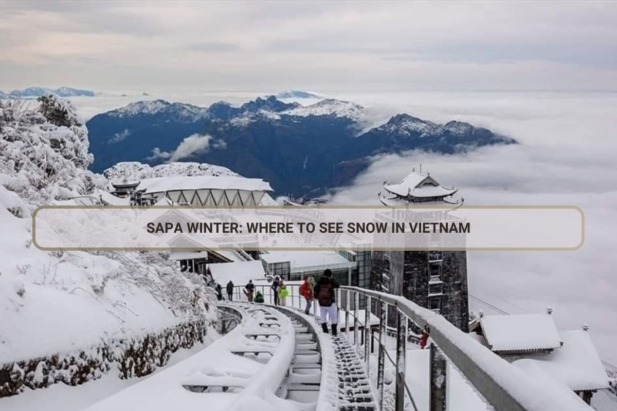 Sapa Winter: Where to See Snow in Vietnam