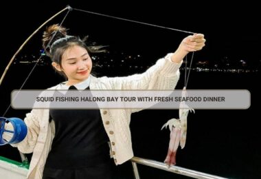 Squid Fishing Halong Bay