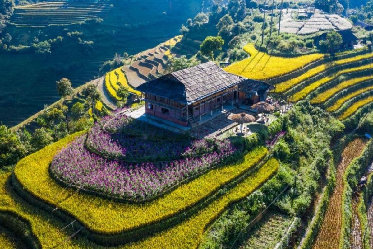 Mu Cang Chai Big View is the best place for Homestays in Mu Cang Chai