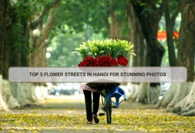 Hanoi flower street