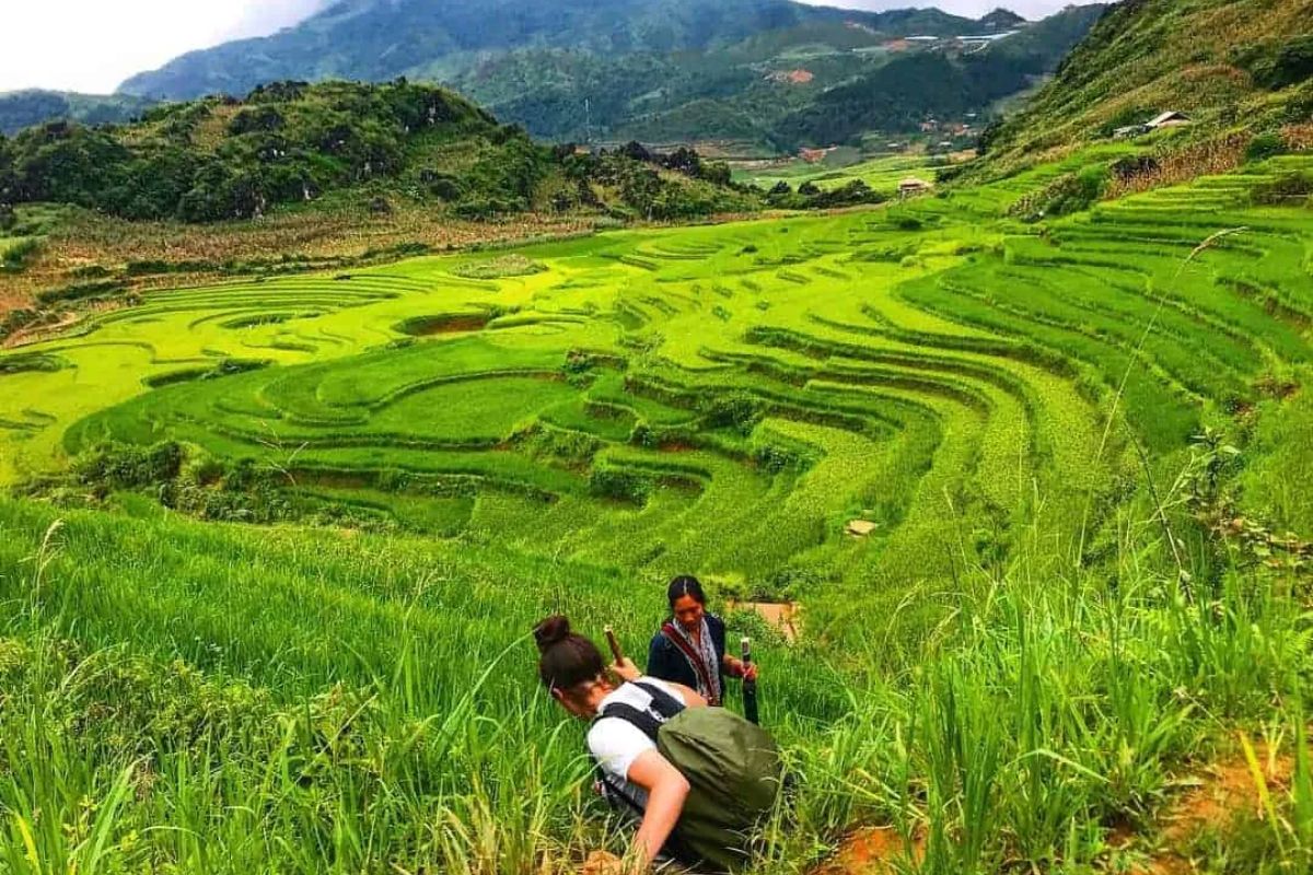 Rice Terrace Trekking