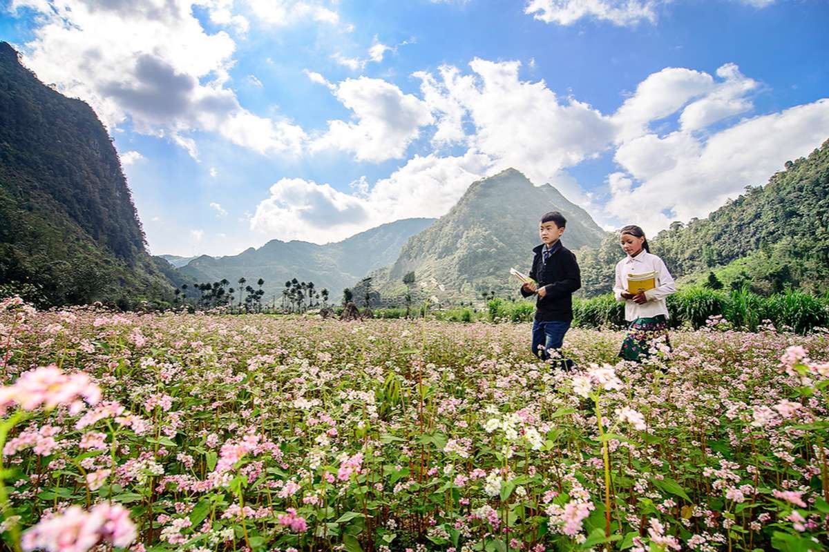 Trekking in Sung La Valley with Ha Giang Trekking