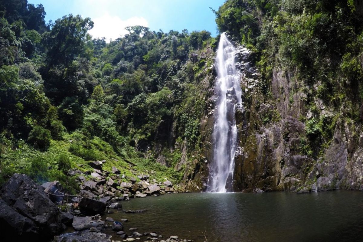 Kaylene Waterfall