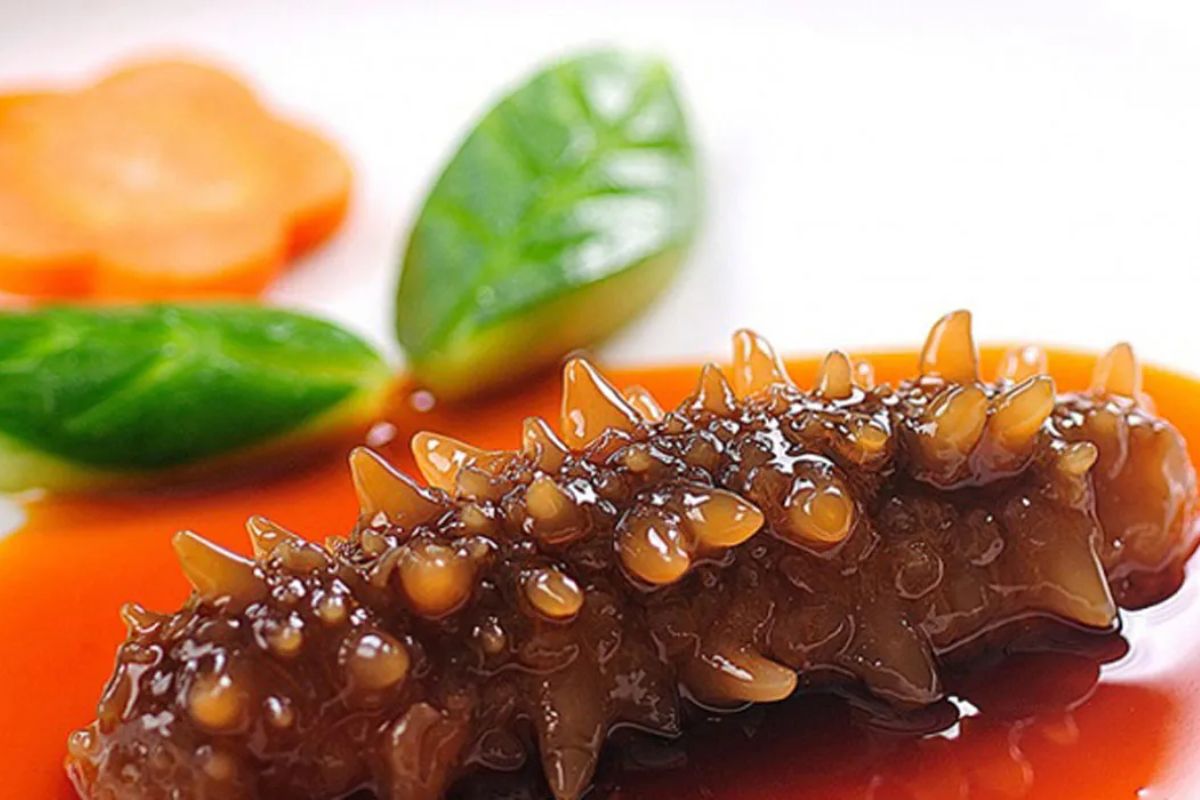 Sea Cucumber - Phu Quoc Local Specialties