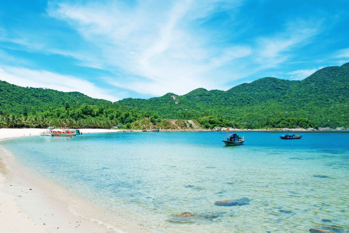 Cham Islands – Diving into Marine Biodiversity