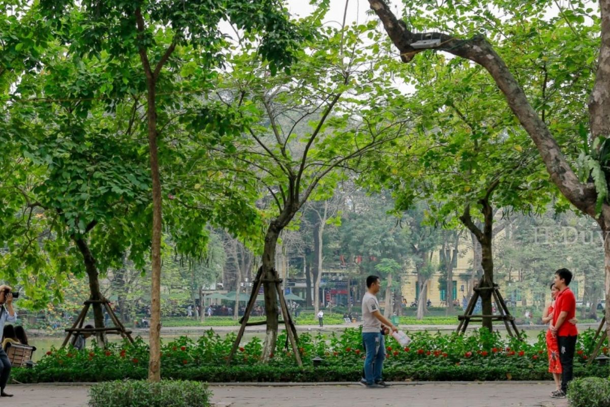 Taking a stroll around Hoan Kiem Lake