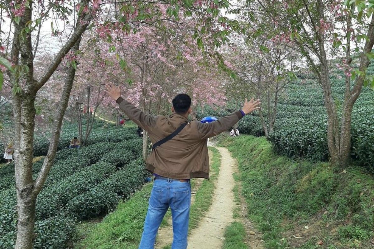 Trekking from Sapa to Lao Chai