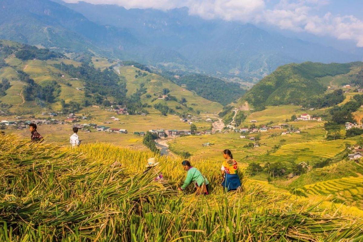 Summer in Sapa with Sapa temperature