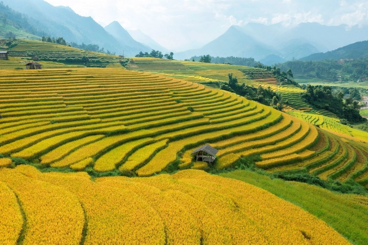 Autumn in Sapa with Sapa temperature