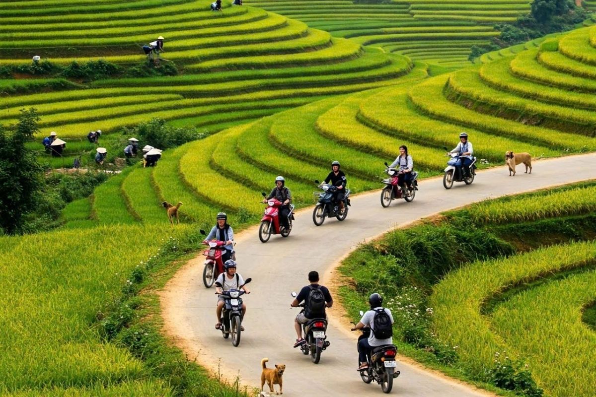 Ride Through Vietnam’s Iconic Landscape