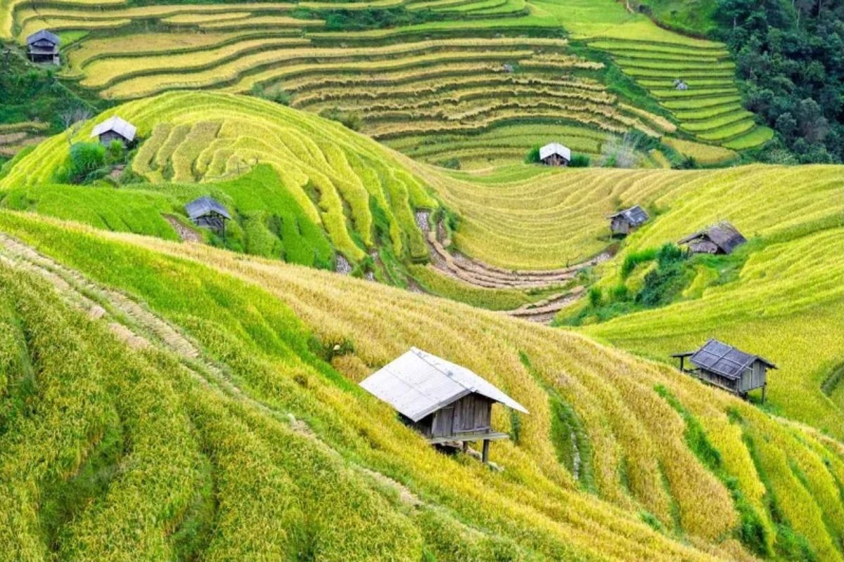 Mai Chau in September.