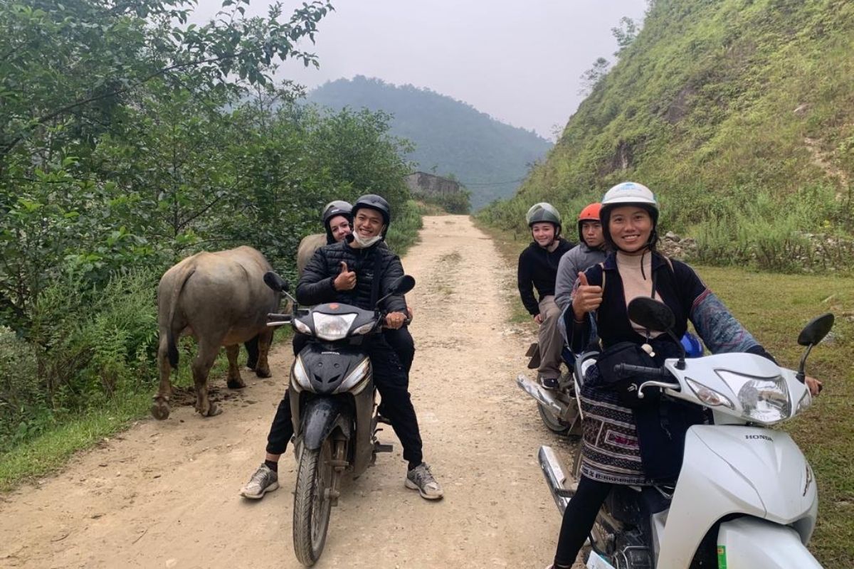 Guides Navigate O Quy Ho Easily