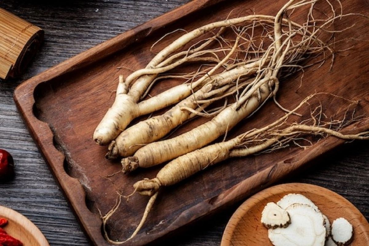 Ginseng Requires License to Enter Vietnam