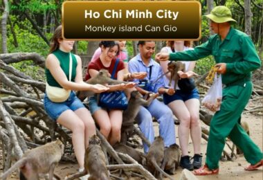Monkey island in Can Gio ho Chi minh city