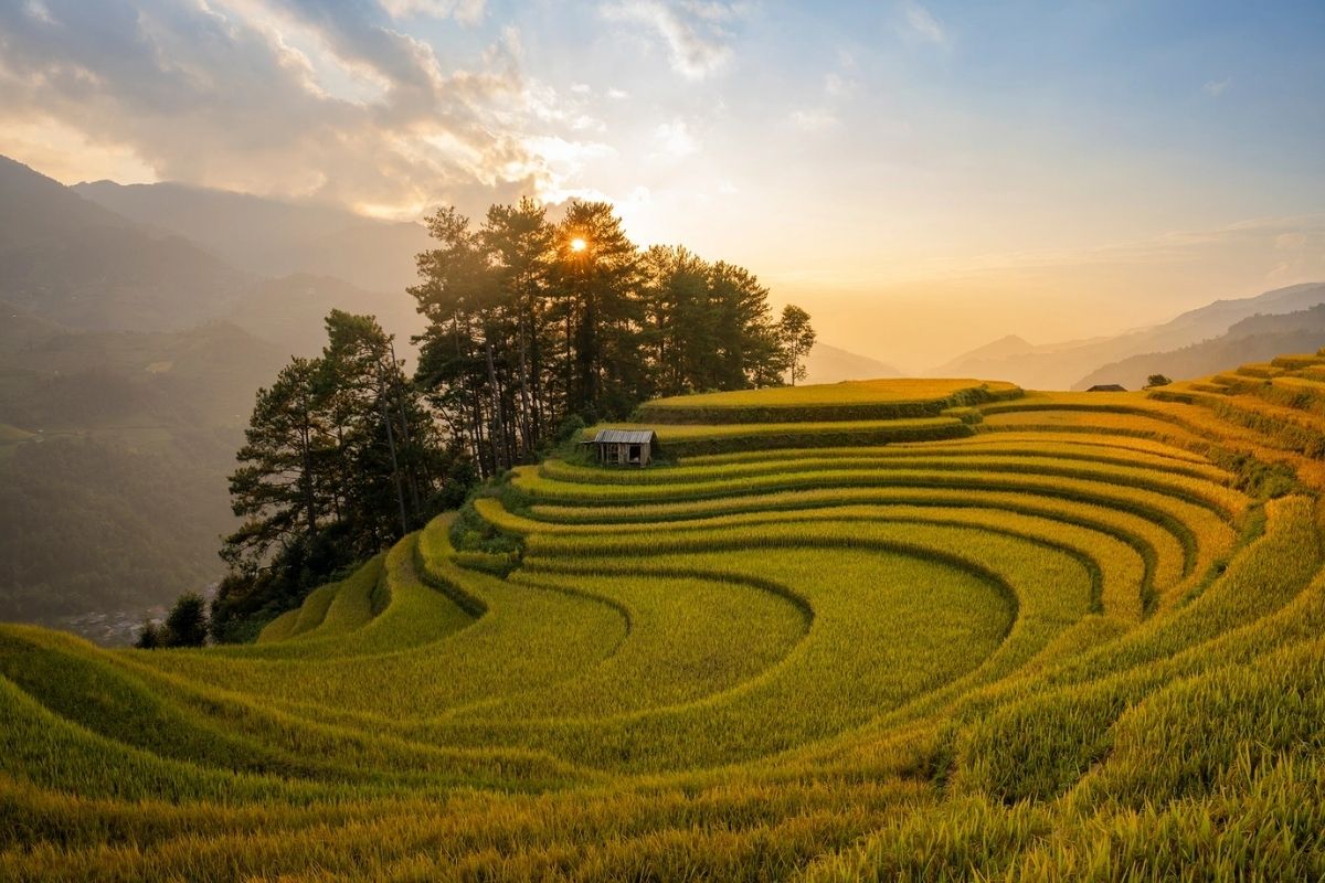 Explore rice terraces & culture with our ultimate Mu Cang Chai Itinerary with Horseshoe Hill
