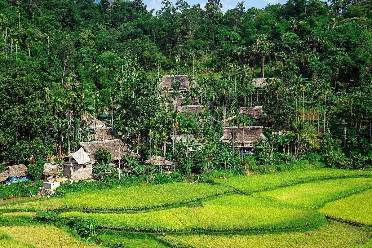 Discover the Pu Luong best time to visit for golden rice fields