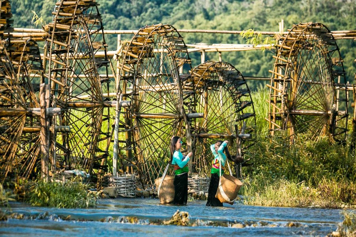 Bamboo Water Wheels
