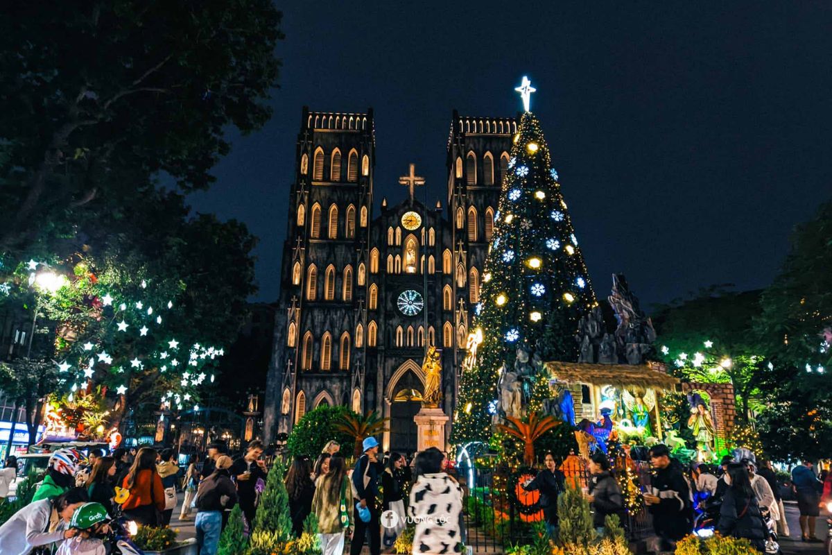 Christmas lights and services at St. Joseph’s Cathedral