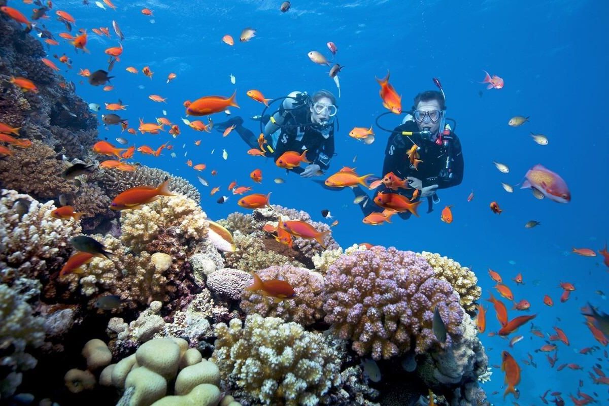 South Vietnam’s May seas perfect for diving