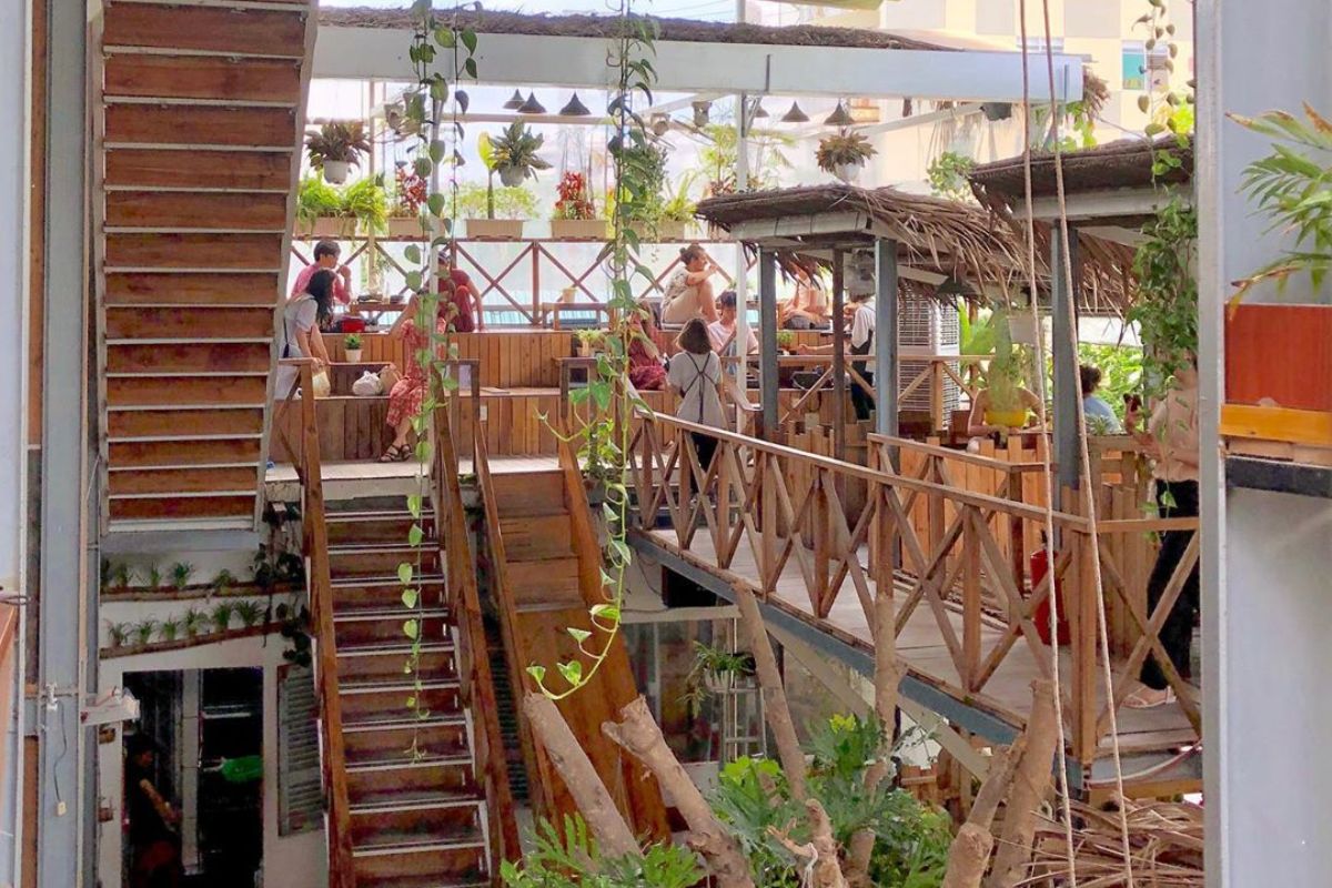 Rain Forest Café