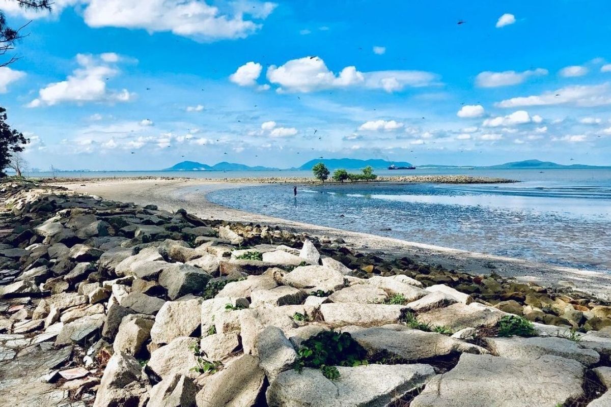 Discover the top beaches near Ho Chi Minh with Can Gio Beach 