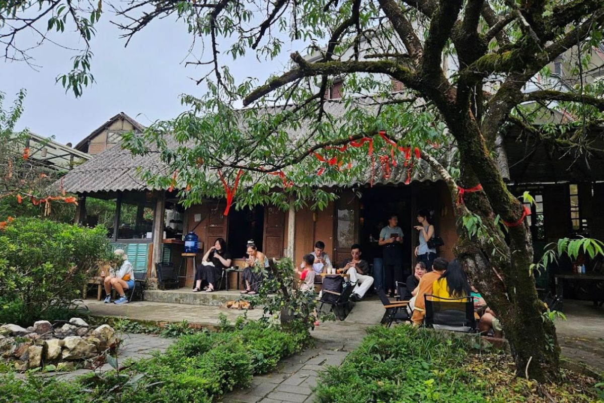 The Mist Cafe