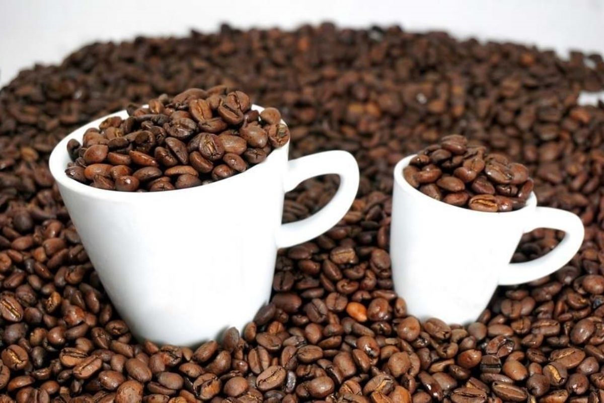 The Beans: Bold Flavor, Great Variety make Vietnam Specialty Coffee 