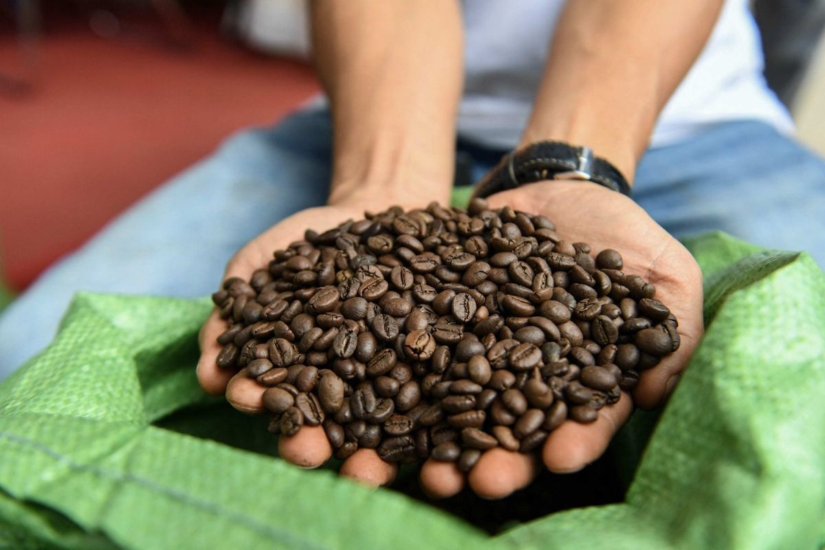 Vietnamese Robusta is the ingredient make to Vietnamese Salt Coffee