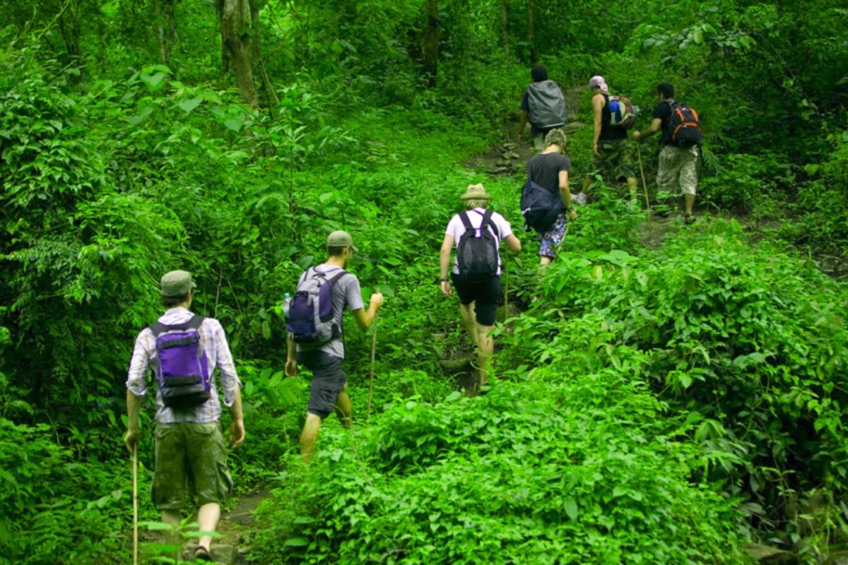 Trekking in Phu Quoc National Park