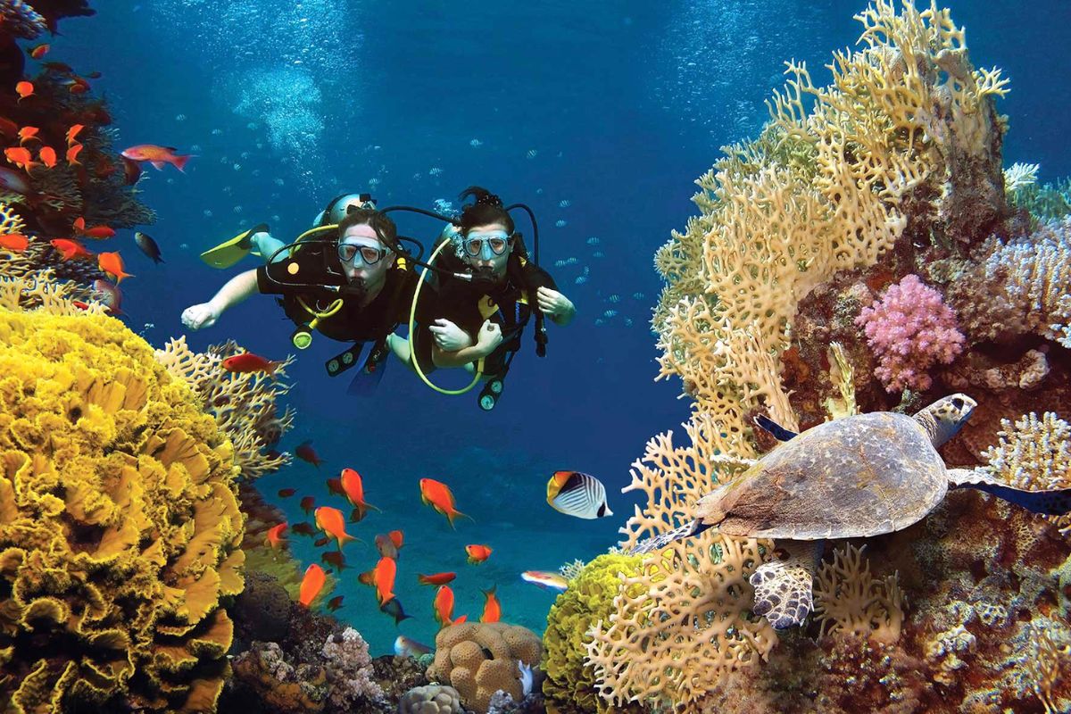 Snorkeling Hon Mong Tay