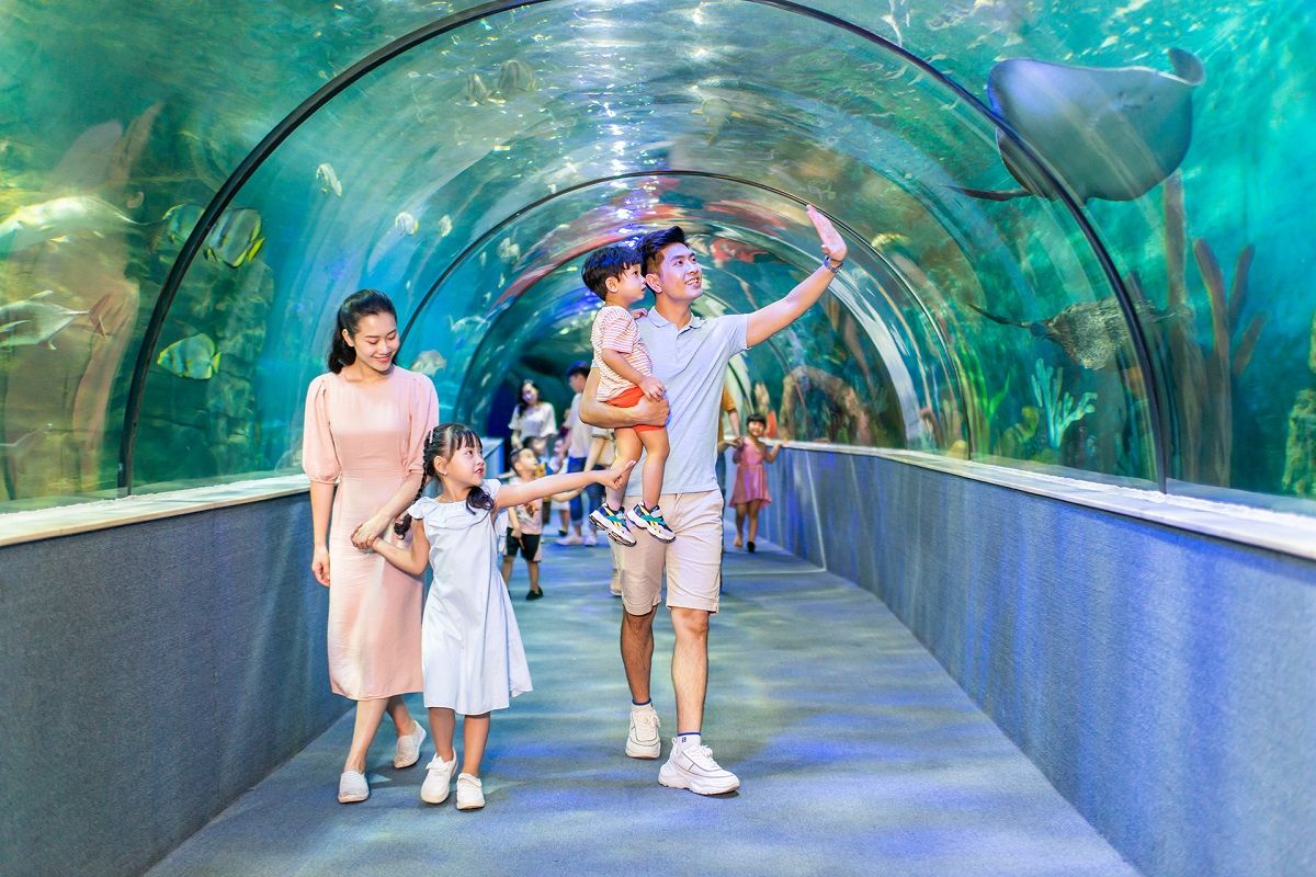 Aquarium at VinWonders