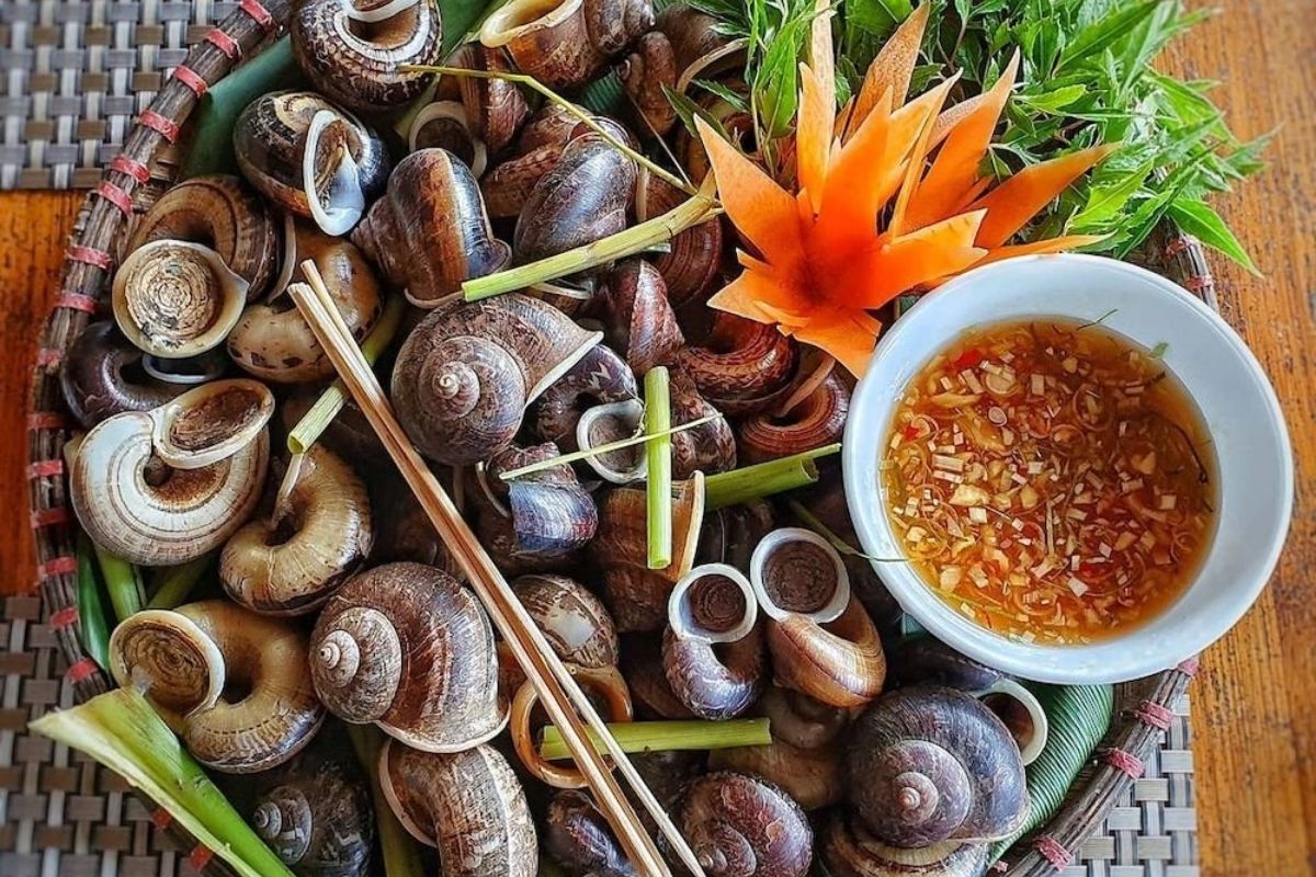 Best Food in Ninh Binh: Oc Nui
