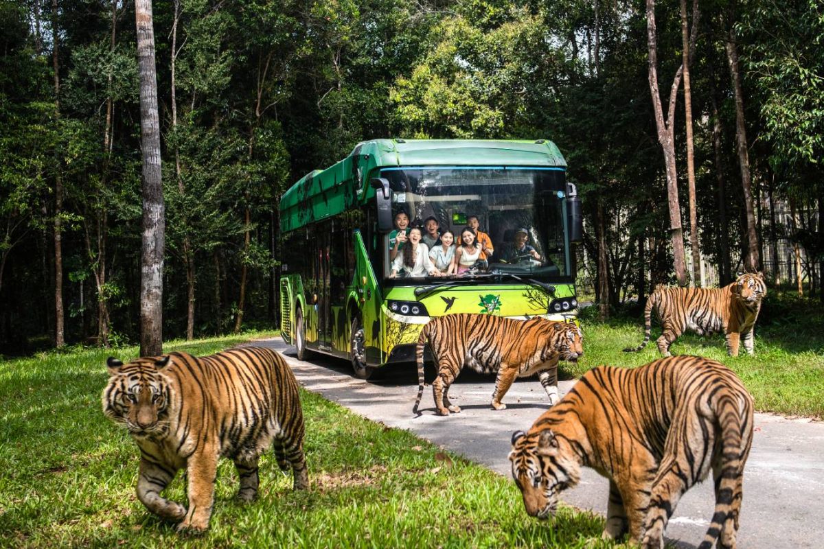 Vinpearl Safari