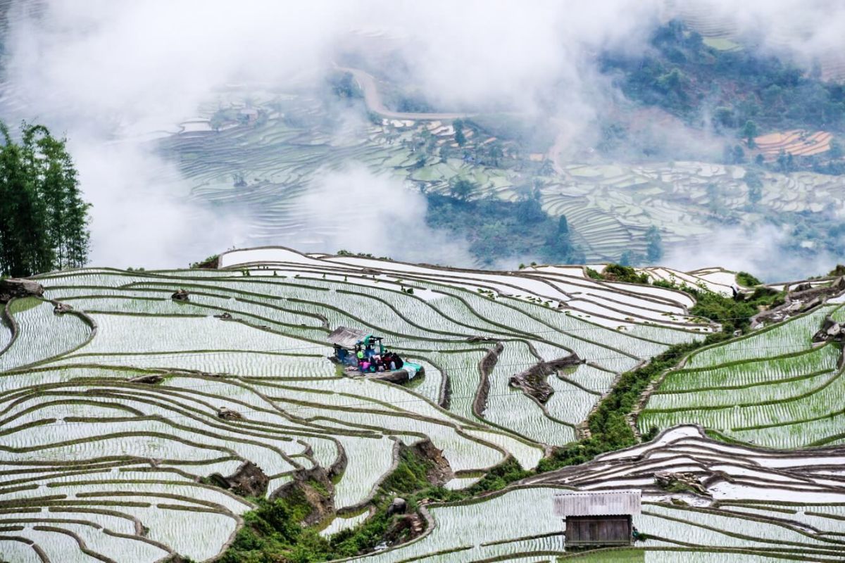 Mirror fields in rainy Mu Cang Chai
