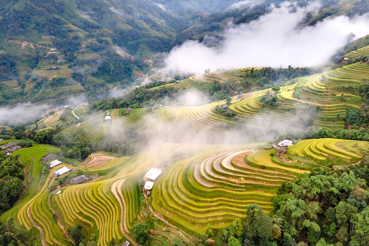 Hoang Su Phi terraced fields