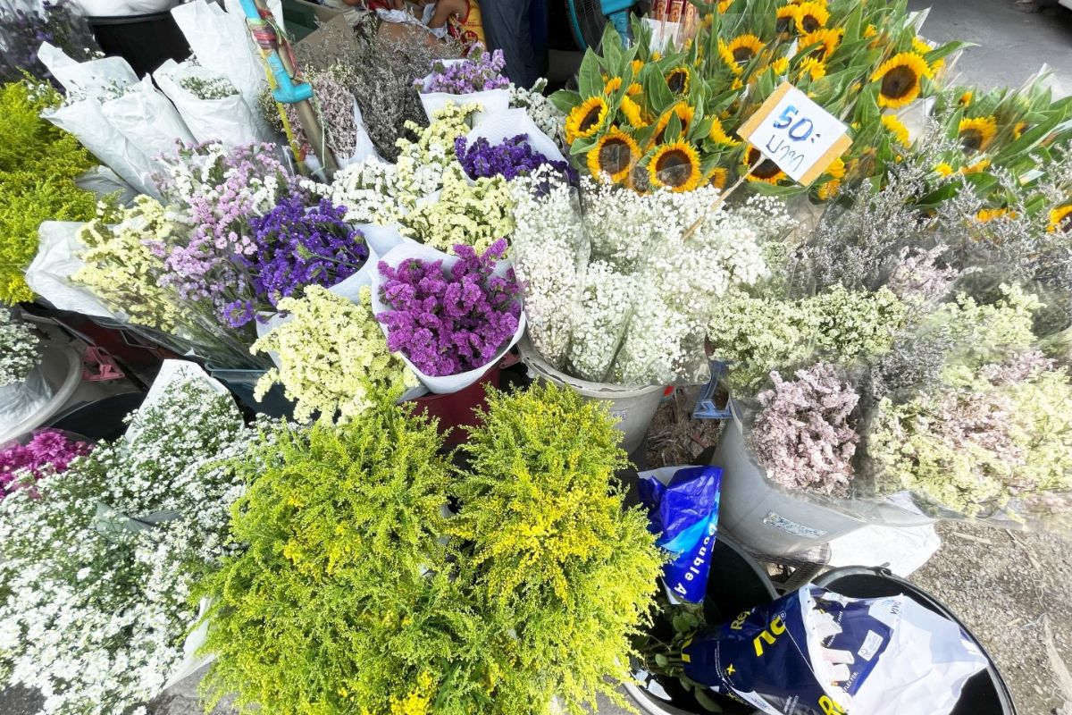 Chiang Mai Flower Market