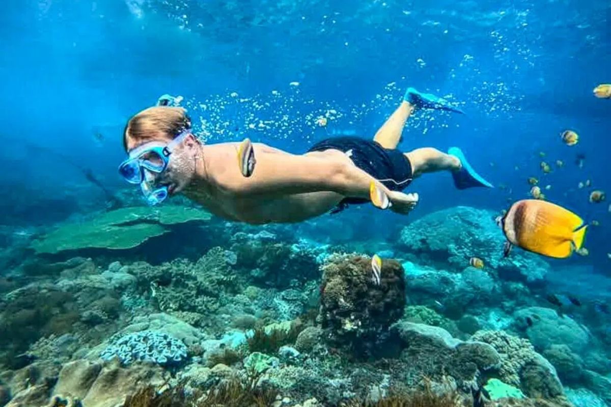 Snorkeling at Phi Phi Islands