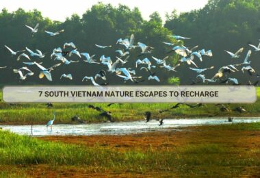 South Vietnam Nature