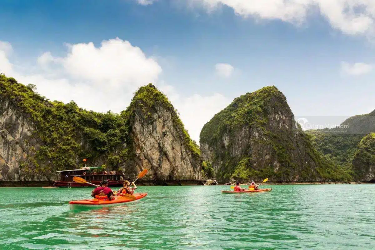 Kayaking with Elite of the Sea