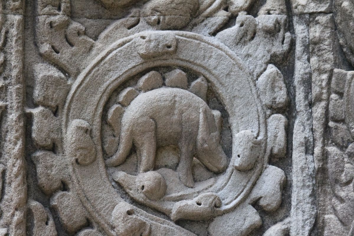 Ancient Stone Carvings at Ta Prohm Tour