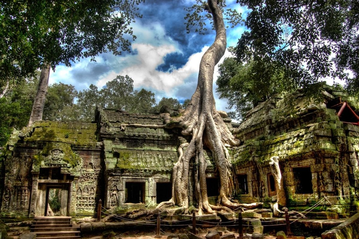 Towering Tree Roots Wrap The Stone at Ta Prohm Tour