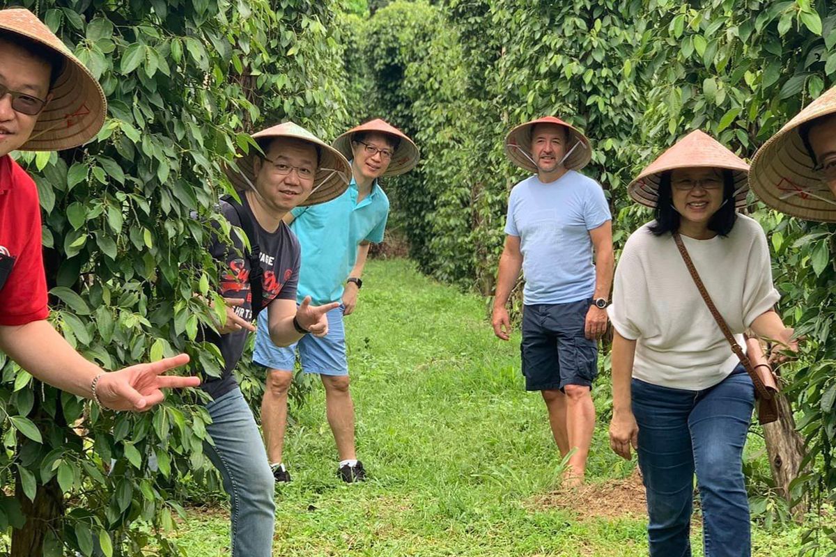 Phu Quoc Pepper Farm