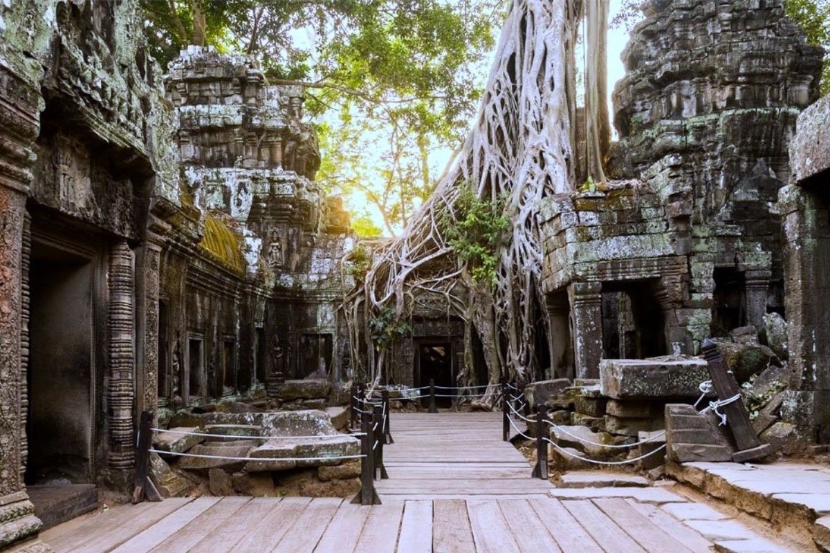 Ta Prohm Temple - Angkor Wat photography tour