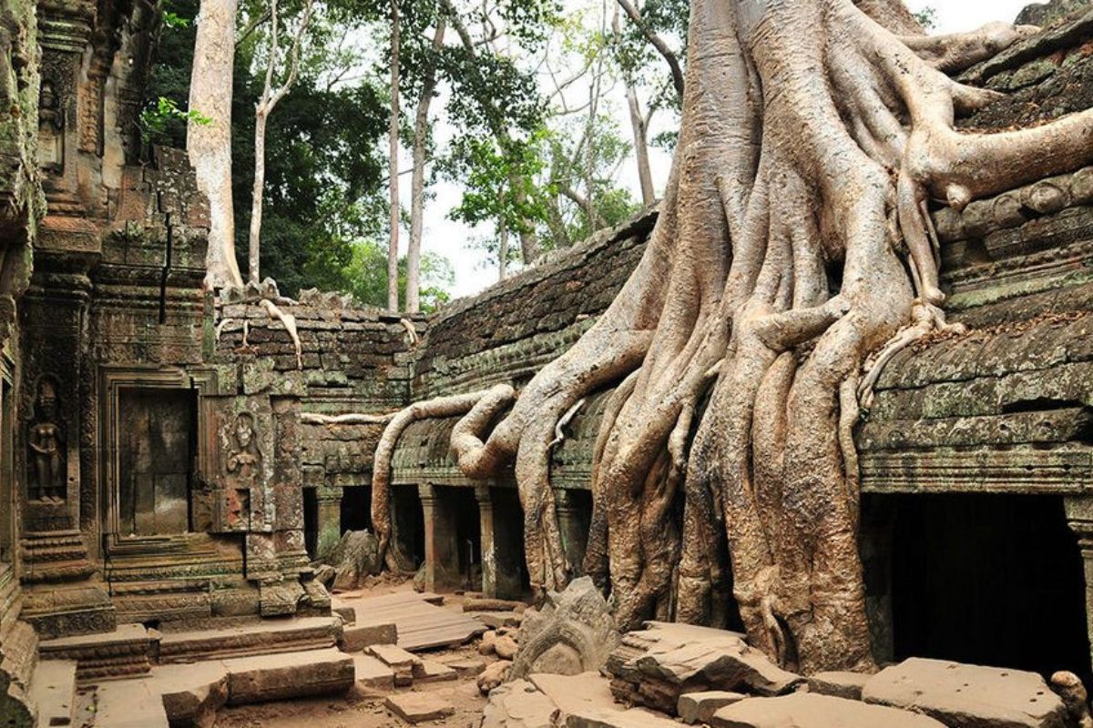 Ta Prohm Temple