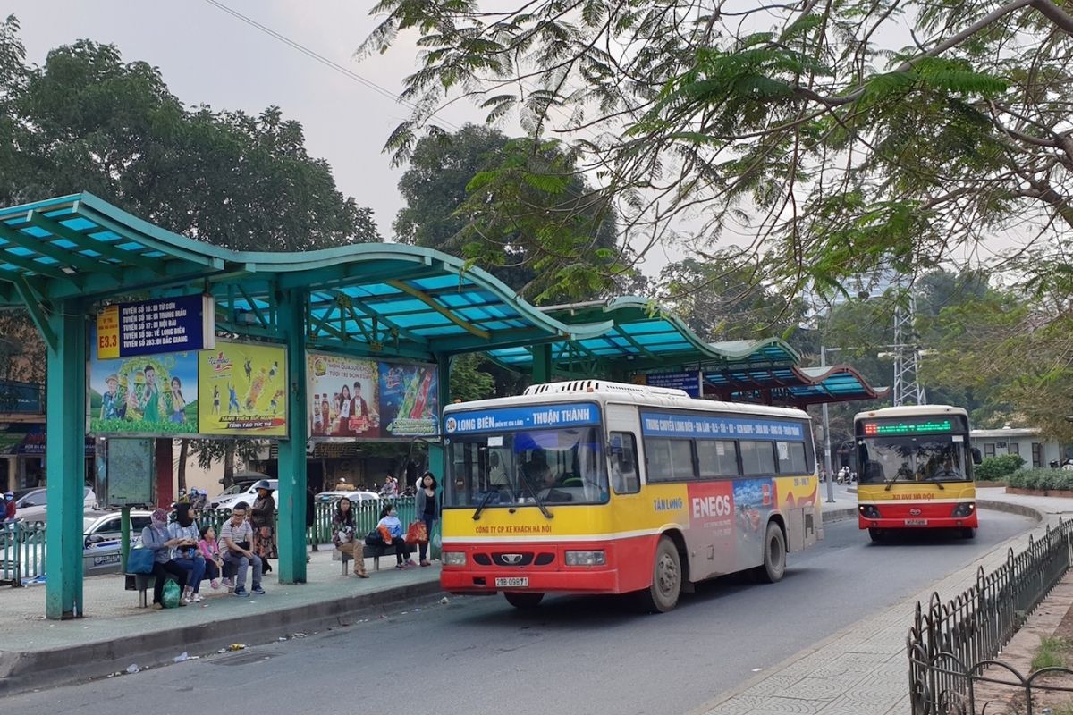 Local Buses